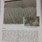 Thalanmai - May -2015 issue -Sriram & Asokan about home garden management