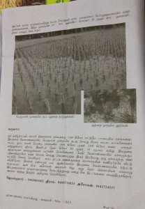 Thalanmai - May -2015 issue -Sriram & Asokan about home garden management