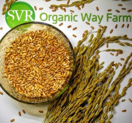 SVR-Organic_Way-Farm-Rice