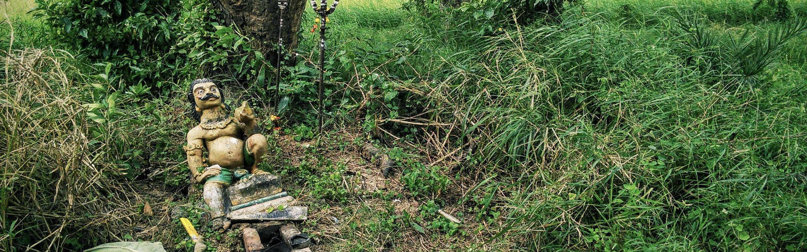 Kalam Swamy at SVR Organic Way Farm