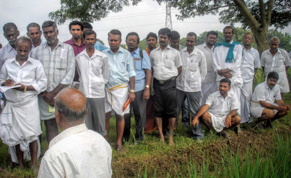 Paddy Re-plantation Training for Organic Farmers