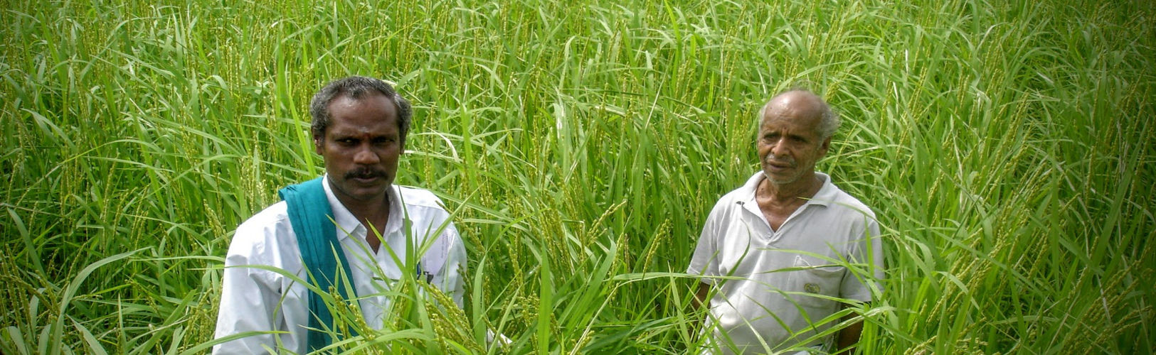 SVR-Nel-Jayaraman@SVR-Organic-Way-Farm