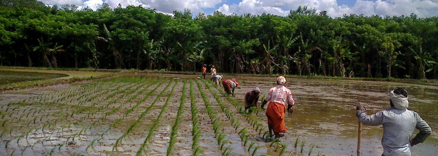 Organic Farmer's Training Program at SVR Organic Way Farm
