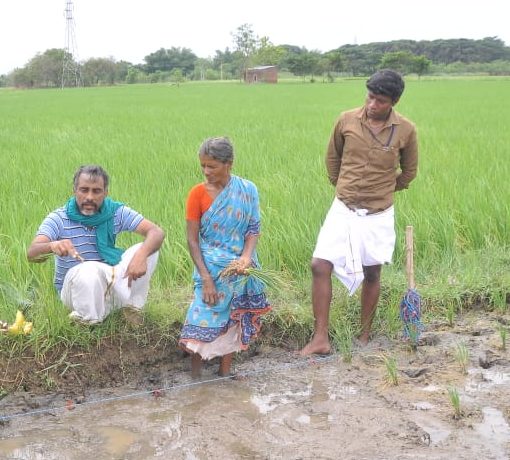 Field Level Training