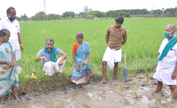 Field Level Training
